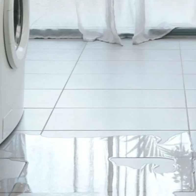 Appliance Leak Cleanup in Castle Hills, TX